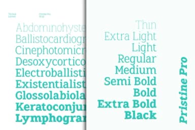 Pristine Pro by Azcreative Studio — Slab Serif Font — thumbnail 3