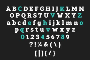 Pristine Pro by Azcreative Studio — Slab Serif Font — thumbnail 8