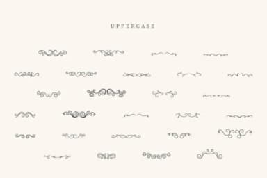 Procreate Divider by CraftedType Studio — Dingbats Font — thumbnail 2