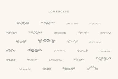 Procreate Divider by CraftedType Studio — Dingbats Font — thumbnail 3