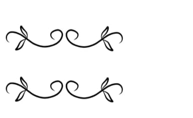 Procreate Divider by CraftedType Studio — Dingbats Font — thumbnail 4