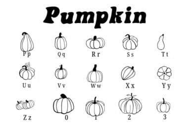 Pumpkin by Suphitchaya — Dingbats Font — thumbnail 3