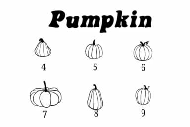 Pumpkin by Suphitchaya — Dingbats Font — thumbnail 4