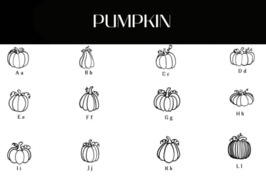 Pumpkin by Heartcraft Atelier — Dingbats Font — thumbnail 2