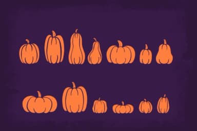 Pumpkins Are Cool by Misti — Dingbats Font — thumbnail 3
