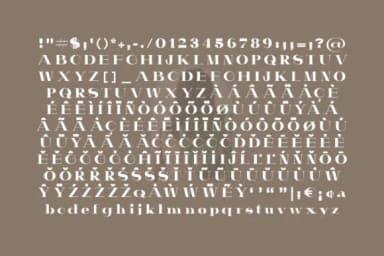 Qinter by Minimalistartstudio — Slab Serif Font — thumbnail 6