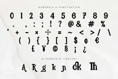 Quirky Punch by Rvandtype — Slab Serif Font — thumbnail 7