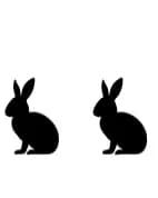 Rabbit by Ketsarin — Dingbats Font — thumbnail 8