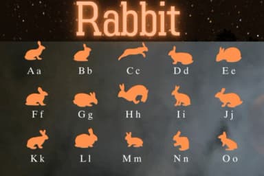 Rabbit by Nongyao — Dingbats Font — thumbnail 2