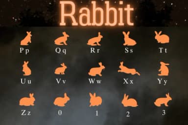 Rabbit by Nongyao — Dingbats Font — thumbnail 3
