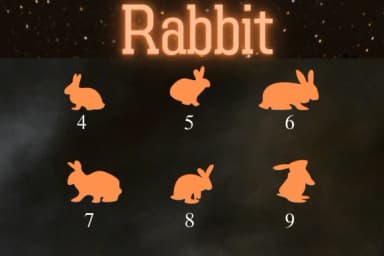 Rabbit by Nongyao — Dingbats Font — thumbnail 6