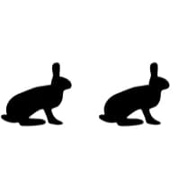 Rabbit by Nongyao — Dingbats Font — thumbnail 8