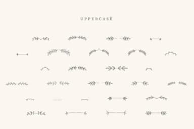 Rafting Divider by CraftedType Studio — Dingbats Font — thumbnail 2