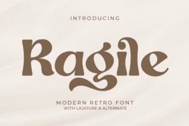 Ragile by Storytype Studio — Slab Serif Font — thumbnail 1