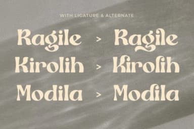 Ragile by Storytype Studio — Slab Serif Font — thumbnail 5