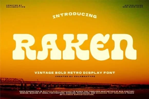Raken by salamahtype — Slab Serif Font