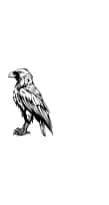 Raven by MOMAT THIRTYONE — Dingbats Font — thumbnail 3