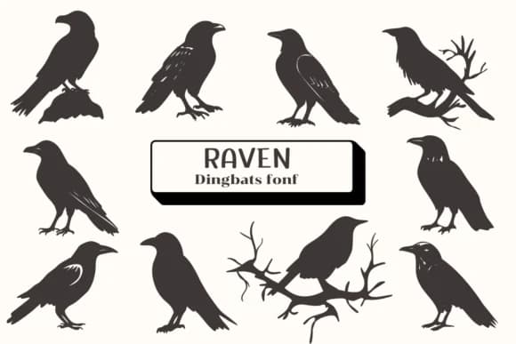 Raven by Ketsarin — Dingbats Font