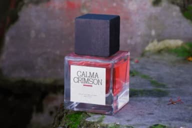 Redorus by Gracetypestudio — Slab Serif Font — thumbnail 8