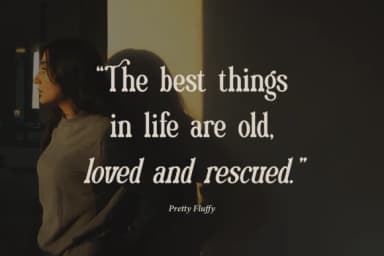 Refagon by Denustudios — Slab Serif Font — thumbnail 6