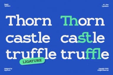 Regain by Glyphonic — Slab Serif Font — thumbnail 5