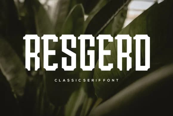 Resgerd by cozzdesign — Slab Serif Font