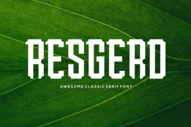 Resgerd by cozzdesign — Slab Serif Font — thumbnail 4