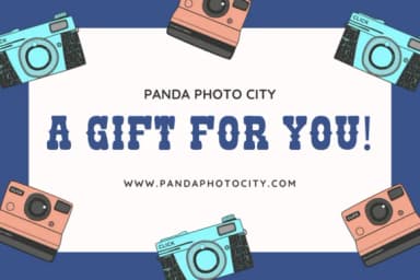 Retro Camera by Nun Sukhwan — Slab Serif Font — thumbnail 4