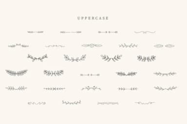 Retro Divider by CraftedType Studio — Dingbats Font — thumbnail 2