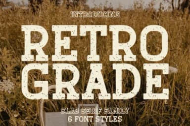 Retro Grade by Rvandtype — Slab Serif Font — thumbnail 1