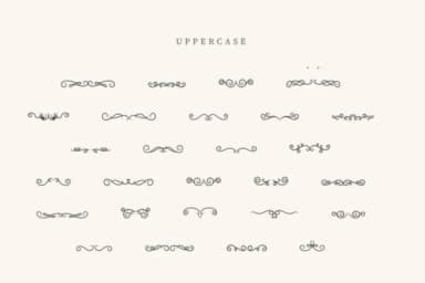 Retro Vintage Divider by CraftedType Studio — Dingbats Font — thumbnail 2