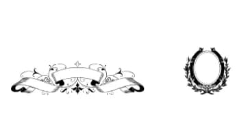 Ribbons by Intellecta Design — Dingbats Font — thumbnail 6