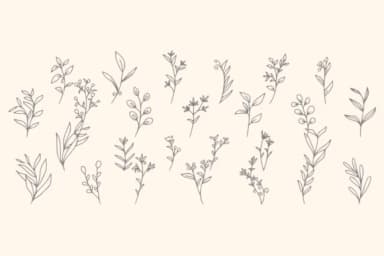 Romantic Garden by Intype Studio — Dingbats Font — thumbnail 2