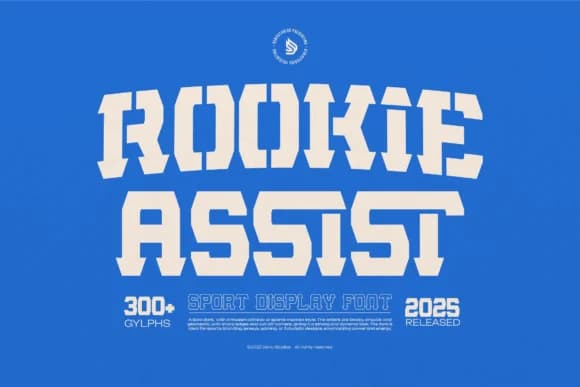 Rookie Assist by Denustudios — Slab Serif Font