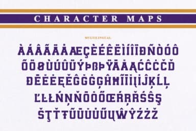 Rookie Coach by MaxWyner Shop — Slab Serif Font — thumbnail 3