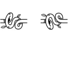 ROOT NODE by onoborgol — Dingbats Font — thumbnail 4