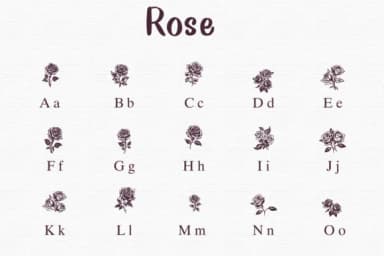 Rose by Nongyao — Dingbats Font — thumbnail 2
