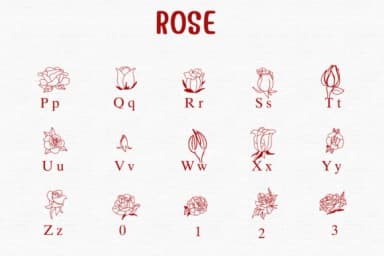 Rose by Sontaya — Dingbats Font — thumbnail 3