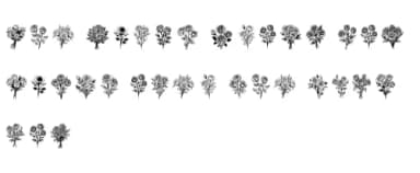 Rose Bouquet by MOMAT THIRTYONE — Dingbats Font — thumbnail 6