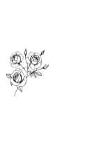 Rose Funny by MOMAT THIRTYONE — Dingbats Font — thumbnail 3