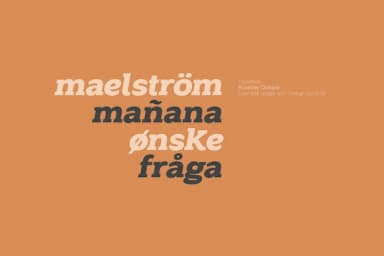 Rosebay by unio.creativesolutions — Slab Serif Font — thumbnail 3