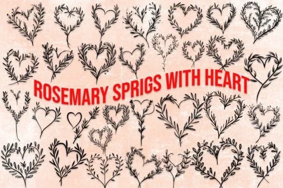 Rosemary Sprigs with Heart by MOMAT THIRTYONE — Dingbats Font