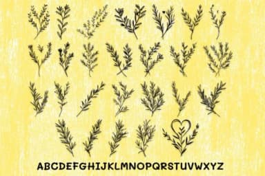 Rosemary Sprigs by MOMAT THIRTYONE — Dingbats Font — thumbnail 2