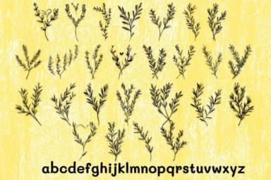 Rosemary Sprigs by MOMAT THIRTYONE — Dingbats Font — thumbnail 3