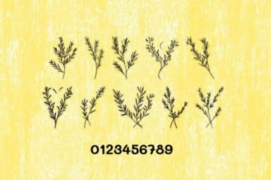 Rosemary Sprigs by MOMAT THIRTYONE — Dingbats Font — thumbnail 4