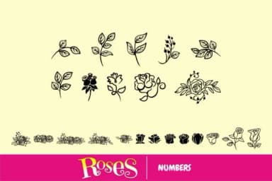 Roses by Onoborgol — Dingbats Font — thumbnail 4