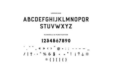 Rough Flannel by uicreativenet — Slab Serif Font — thumbnail 4