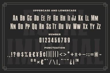 Royal Imperial by Blankids Studio — Slab Serif Font — thumbnail 6