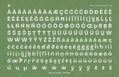 Ruganic by Universitype — Slab Serif Font — thumbnail 8