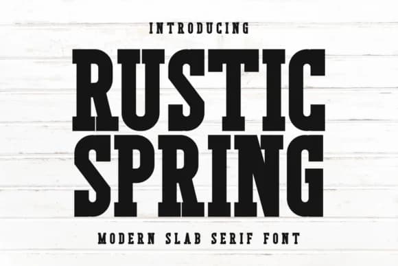 Rustic Spring by Pian45 — Slab Serif Font